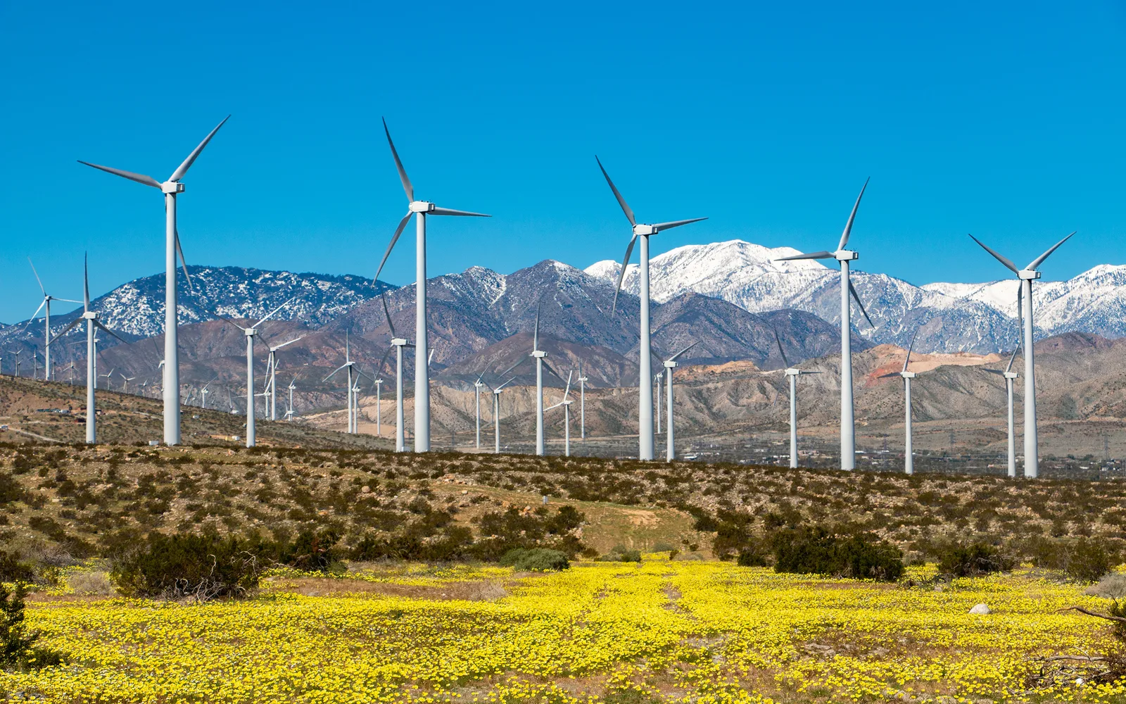 Wind turbines in the San Gorgonio Pass, Riverside County, California
